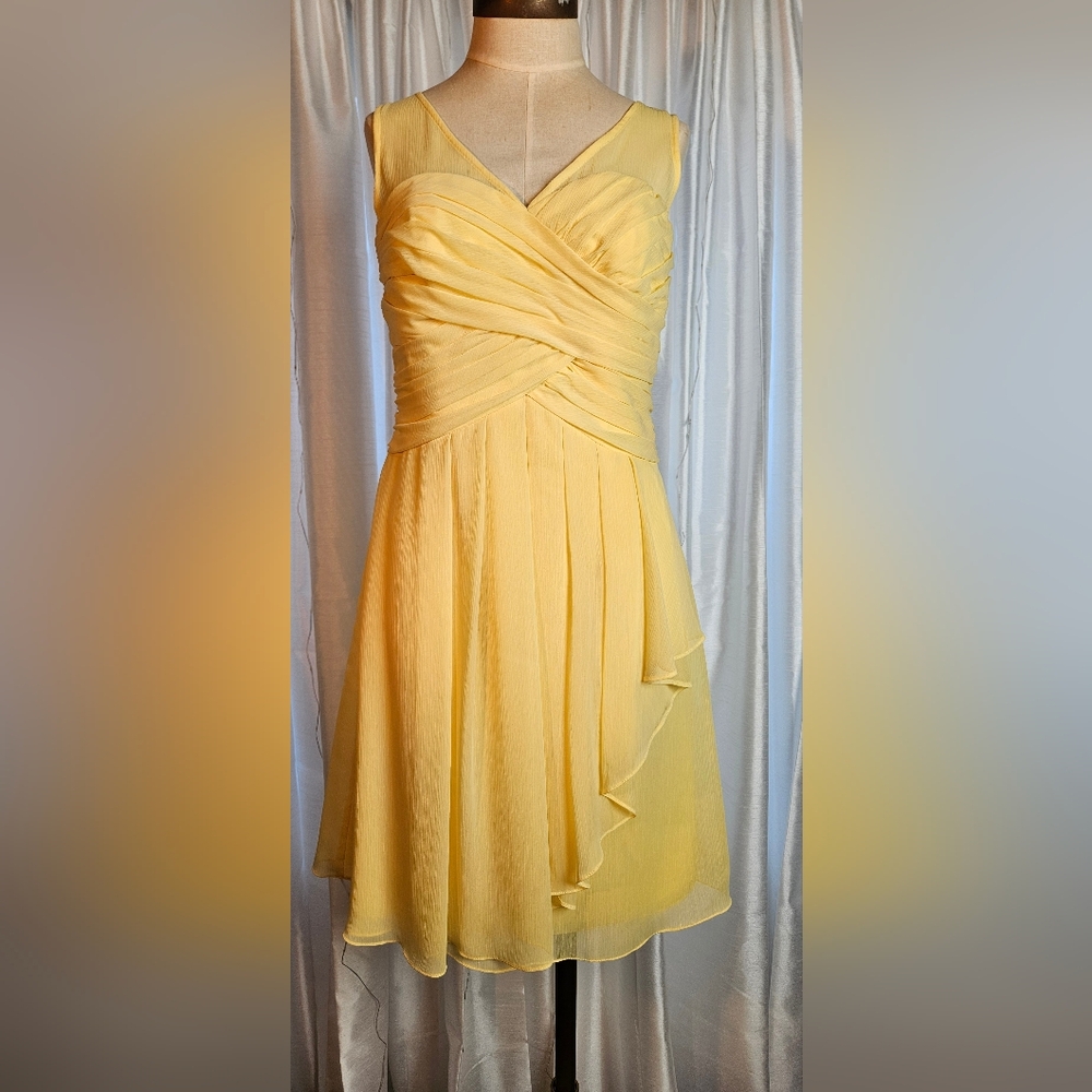 David's Bridal Bridesmaid Dress